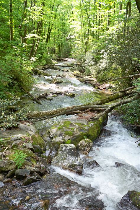 Check spelling or type a new query. www.thebearaffair.com Anna Ruby Falls | Trip, Atlanta ...