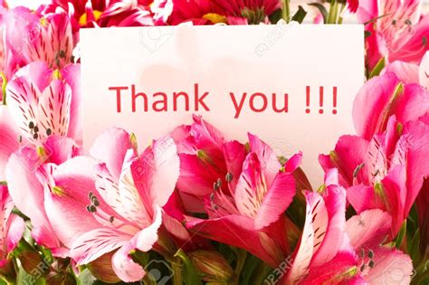 Thank You With Flowers Pics Thank You Flowers We Need Fun Any