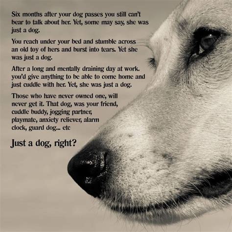 Just A Dog Right Dog Poems Dogs Pet Remembrance