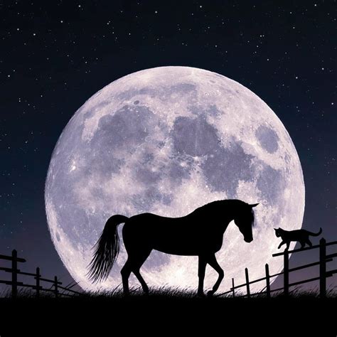 Horse And Moon Canvas Wall Art By Abdullah Evindar Icanvas