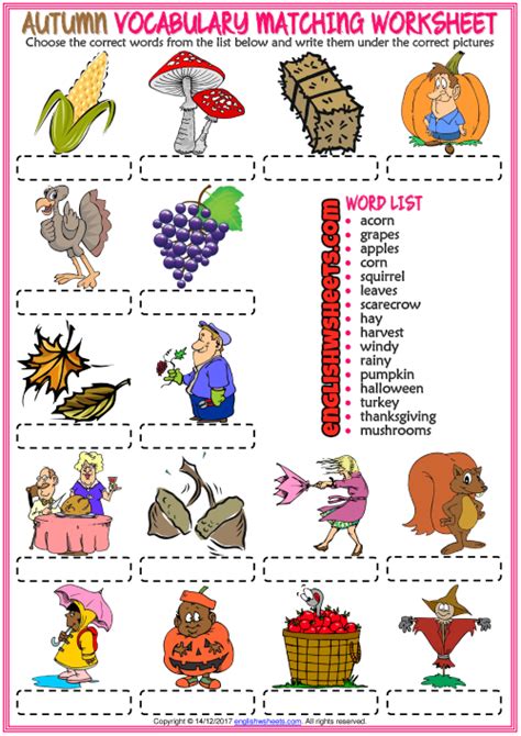 Autumn Esl Vocabulary Matching Exercise Worksheet
