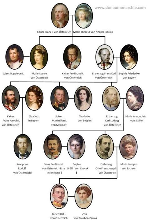 Sagenhafter gemeinsamer stammbaum der habsburger (den hauptstamm in der mitte bildend) mit den gräflichen bzw. Kaiser von Österreich - Stammbaum | Kaiser von österreich ...
