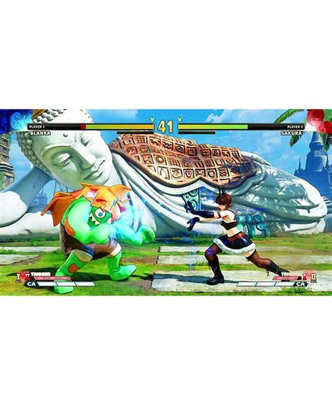 Capcom Street Fighter V Champion Edition Playstation 4 Macys