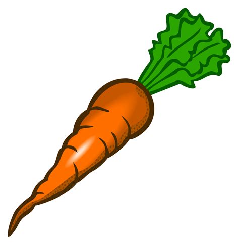 Clipart Carrot Coloured