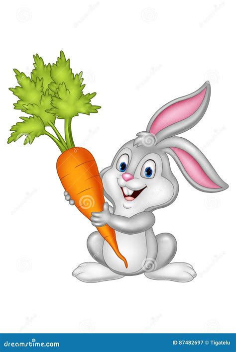 Cartoon Rabbit Holding Carrot On White Background Stock Vector