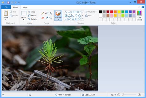 Image Editing 101 Image Editing Software