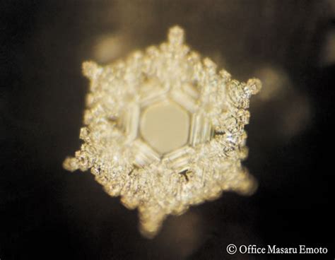 Water Experiment By Dr Masaru Emoto On Water Consciousness