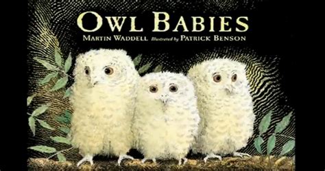 Proyecto Bilingue Cbm The Owl Babies Story Telling Video
