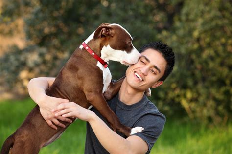 The Unbelievably Real Reasons Why Dogs Lick People Pet Ponder