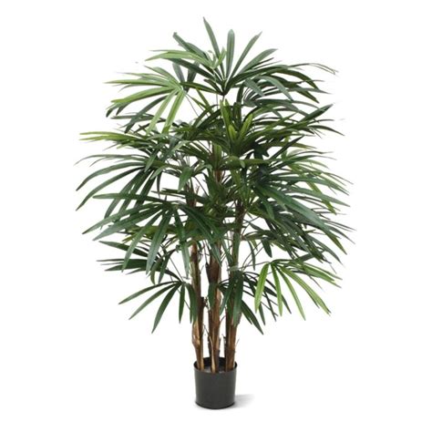 Lifelike Artificial Raphis Palm Plant 100cm Maxifleur Artificial Plants