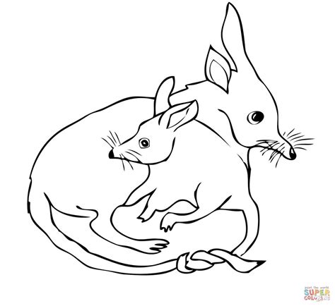 Easter Coloring Bilby Autumn Australian Pages Sheet Colouring Australia