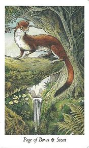 In the wildwood tarot by mark ryan, this card is called the green woman. Page of Bows Wildwood Tarot Card Meanings - Stoat | TarotX