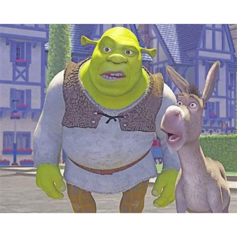 Crazy Shrek And His Donkey New Poster