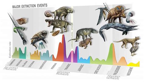 A Little Known Mass Extinction And The Dawn Of The Modern World Eos