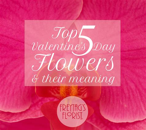 From latin valentinus, from valeō (i am strong, healthy). Top Five Valentine's Day flowers and their Meaning ...