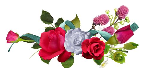 Bunga Mawar Merah Picture Png Transparent Background Free Download