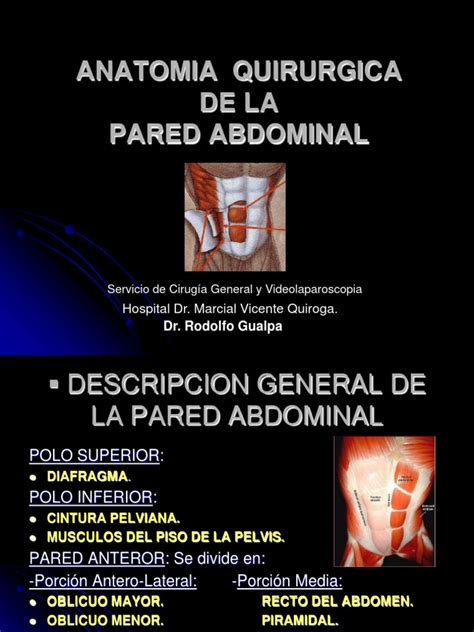 Anatomia De La Pared Abdominal