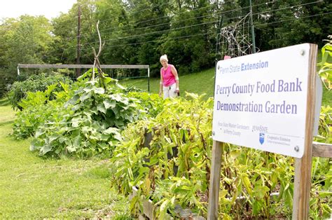 The food closet respects and serves all clients. Perry County Food bank garden thrives in third season ...
