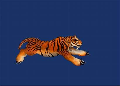 3d Tiger Rigged Running Max Cadnav 3ds