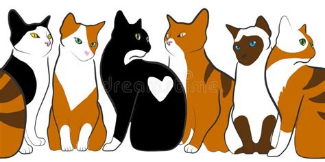 Several Colorful Cats Sitting Stock Vector Illustration Of Together