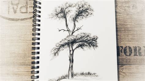How To Draw Realistic Tree Step By Step Easy Pencil Drawing Tree