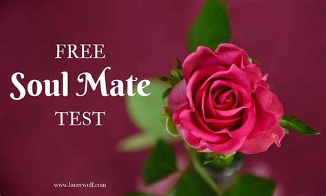 Soul Mate Quiz What Type Of Soul Relationship Do You Have ⋆ Lonerwolf