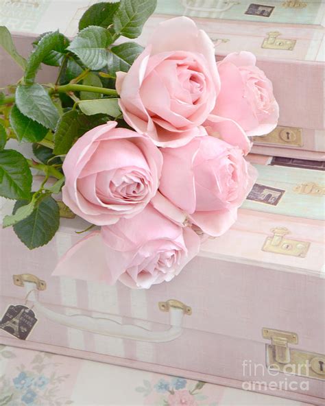 Shabby Chic Pastel Pink Roses On Pink Suitcases Cottage Chic Romantic