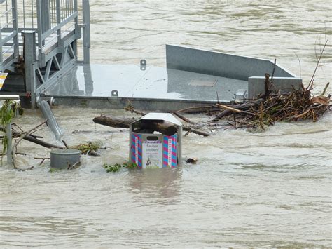 Download Free Photo Of High Water Garbage Can Bank Danube Bank Of The Danube From Needpix Com