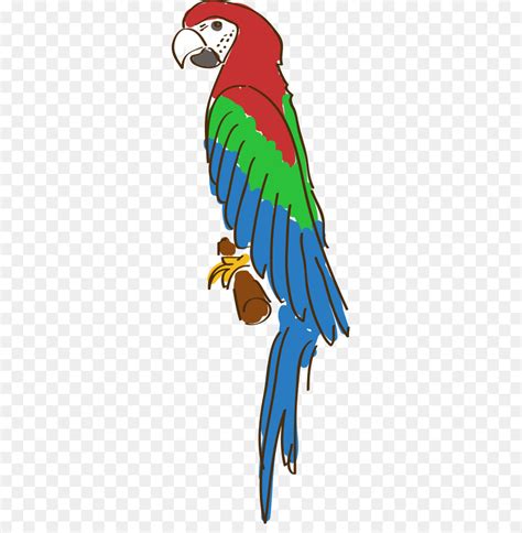 Jual burung beo yang bisa mengikut kita bicara jakarta barat. Gambar Burung Beo Kartun | Gambar Burung Wallpaper