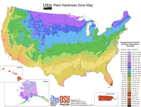United States Zone Map Planting
