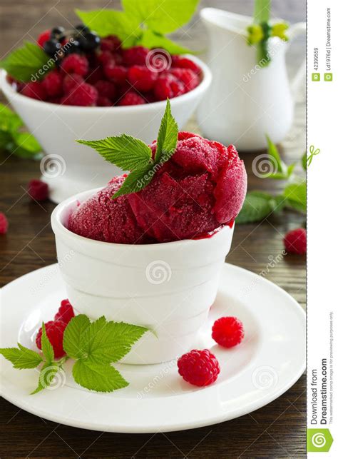 Raspberry Sorbet Stock Image Image Of Raspberry Cream