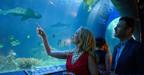 Check spelling or type a new query. Valentine's Day After Hours at The Vancouver Aquarium in