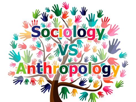 Difference Between Anthropology And Sociology