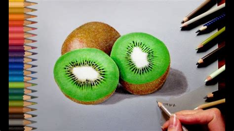 Engineering symbol with rolls of drawings. Drawing Realistic Kiwi in Colored Pencil | Jasmina Susak ...