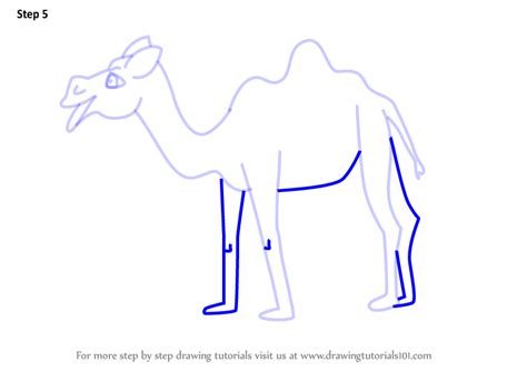 Mark off the width and height of the bactrian camel. Learn How to Draw a Cartoon Camel (Cartoon Animals) Step ...