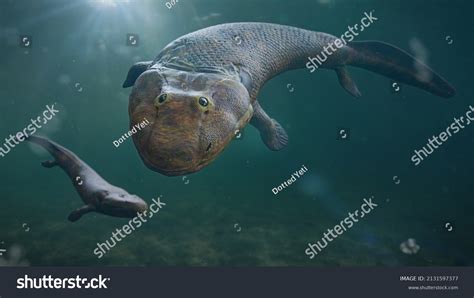 Tiktaalik Extinct Legged Fish Evolution Fourlegged Stock Illustration