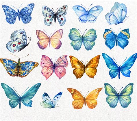 Butterfly Collection Watercolor Present Your Design On This Mockup
