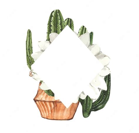Premium Vector Watercolor Frame With Cactus Flowers