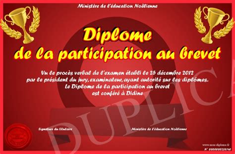 Diplome De La Participation Au Brevet