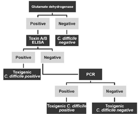 Pdf A Diagnostic Algorithm For The Detection Of Clostridium Difficile