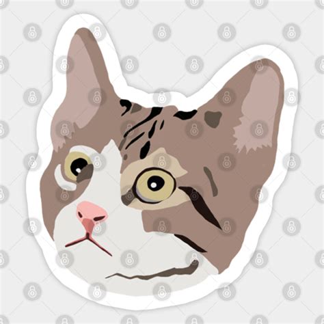 Cat Cat Sticker Teepublic