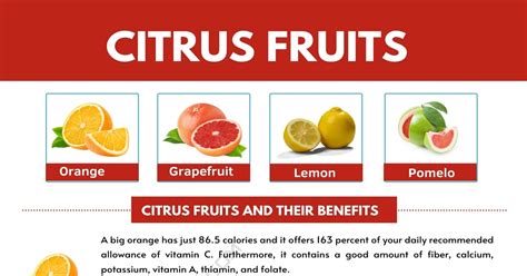 Citrus Fruits List With Interesting Benefits And Pictures • 7esl