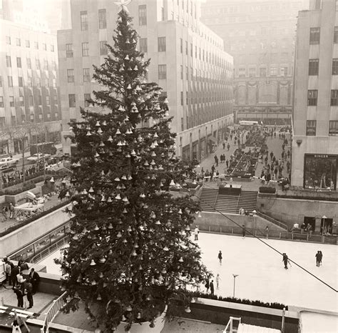 Vintage Christmas Trees In The Past Monovisions Black And White