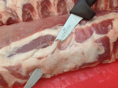 Baby back ribs (sometimes called loin ribs) are a cut of pork taken from the upper part of the tenderizing and flavoring the ribs go ad free. Ribs! We're Bringing Sexy (Baby) Back - Life In Pleasantville