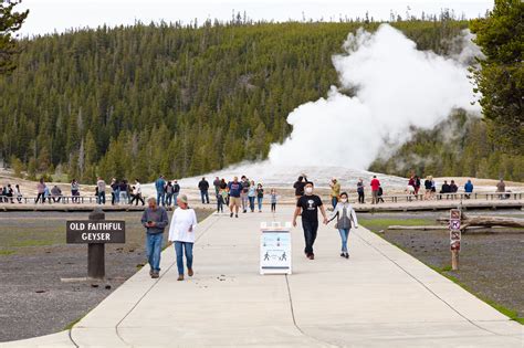Yellowstone Update On First Days Of Reopening Yellowstone National