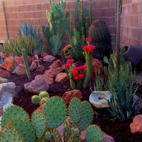 Outdoor Cactus Garden Diy Garden Cactus Garden Landscaping Mini
