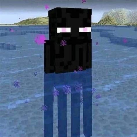 Miguel Gamer On Twitter Minecraft Memes Minecraft Funny Minecraft