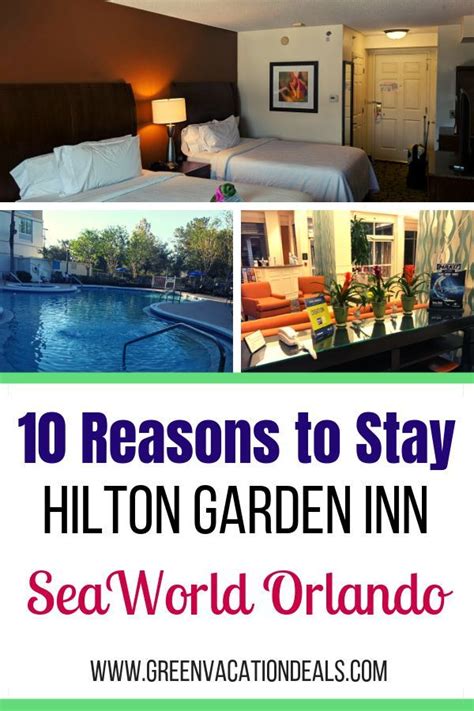 Hilton Garden Inn Seaworld Orlando Review 10 Reasons To Stay Seaworld Orlando Hilton Garden