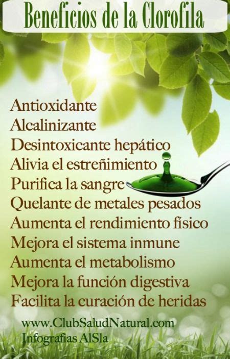 Beneficios De La Clorofila Club Salud Natural Clorofila Beneficios