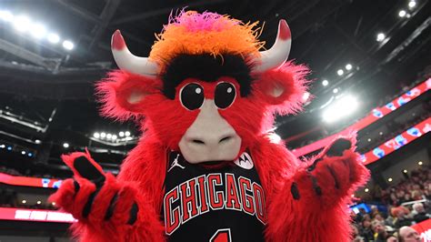 Chicago ‘rat hole’ visited by NBA Bulls’ mascot Benny the Bull – NBC